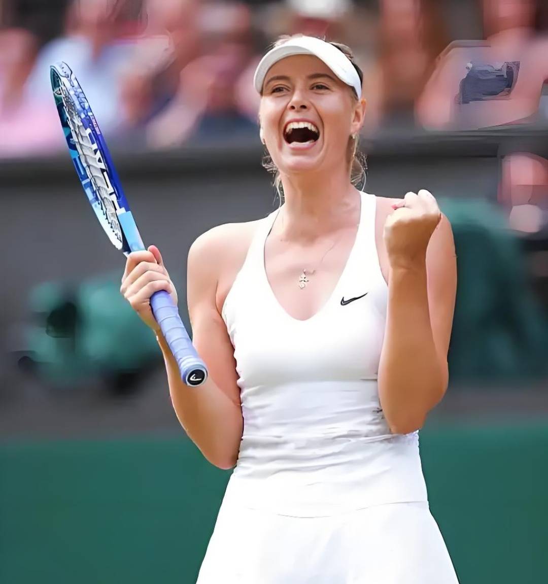  莎拉波娃与李娜战果 